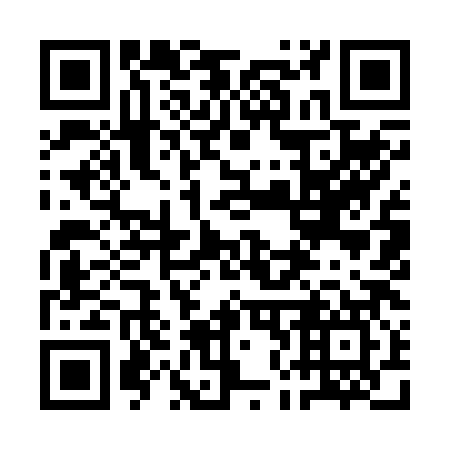QR code for 1N9287