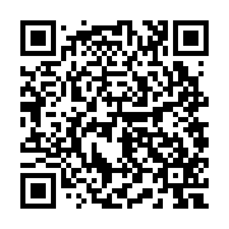 QR code for 206317