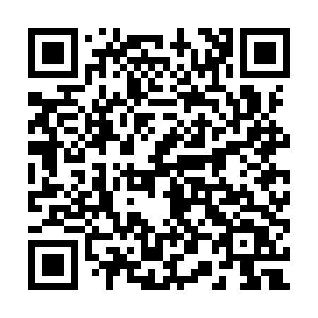 QR code for plate 207-ITT