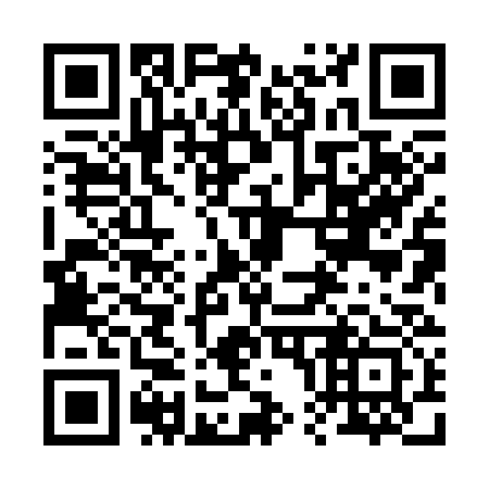 QR code for 208333