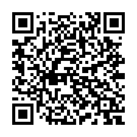 QR code for 211PPP