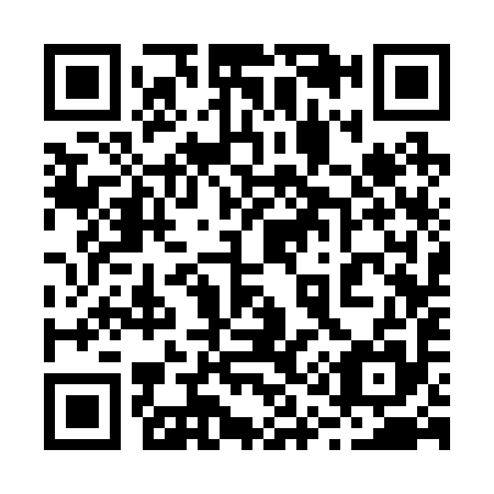 QR code for 213295