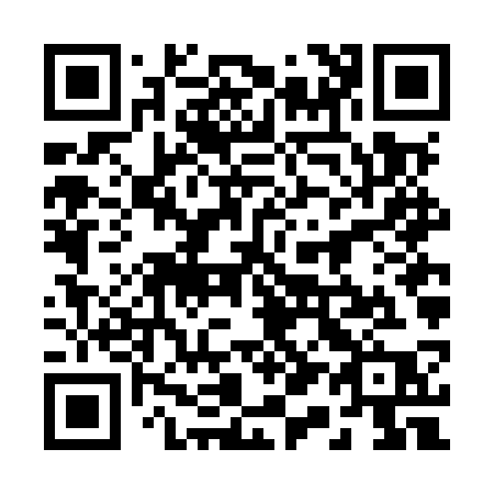QR code for 216MSP