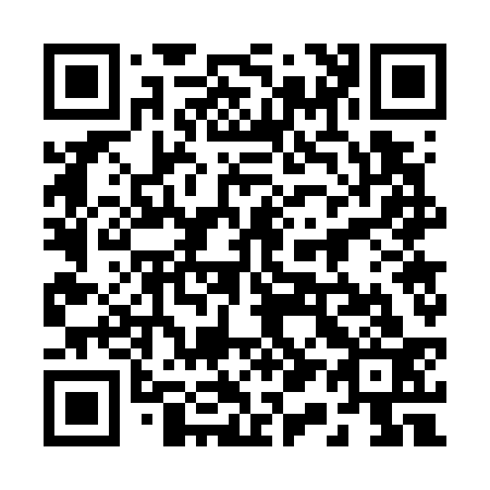 QR code for 217733