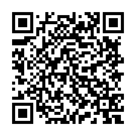 QR code for 219875