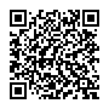 QR code for 219DSA
