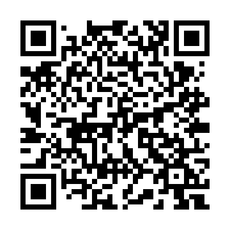 QR code for 221-VOG