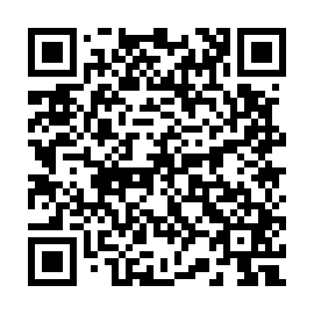 QR code for 221541