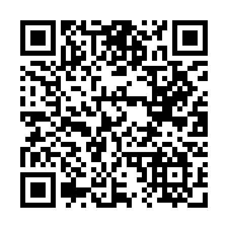 QR code for plate 222-ICO