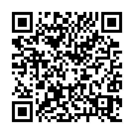 QR code for 223-SYS