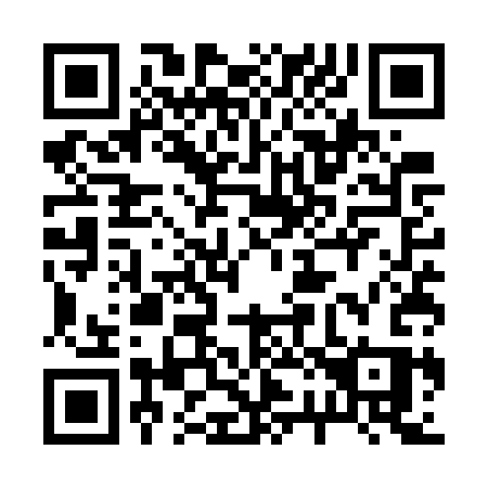 QR code for 225-WSS