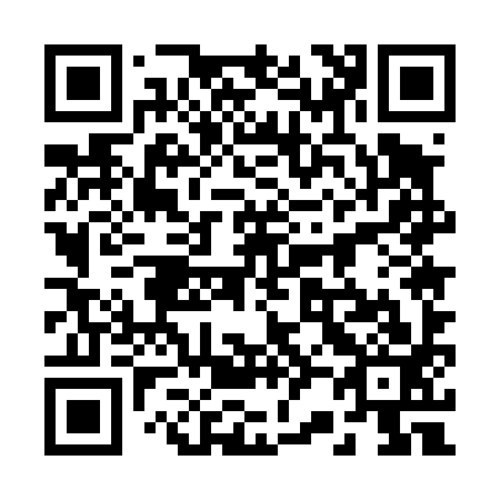 QR code for 225493