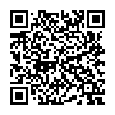 QR code for 225ISV