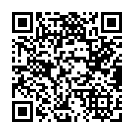QR code for 225RLI