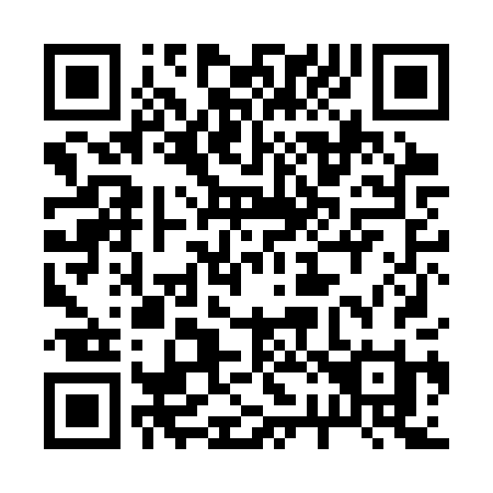 QR code for 228-CPI