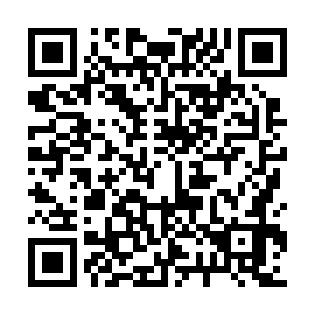 QR code for 228272