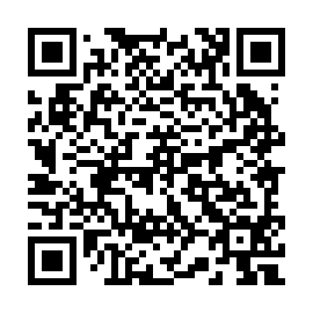 QR code for 228294