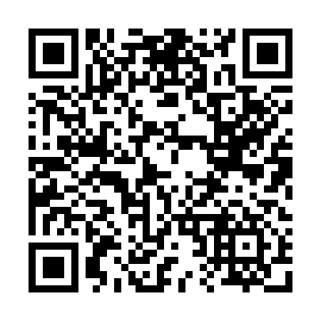 QR code for 228317