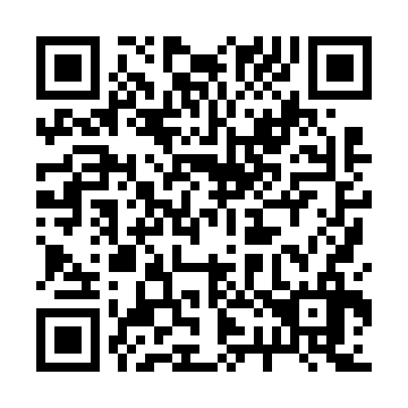 QR code for 228636