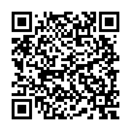 QR code for 228795