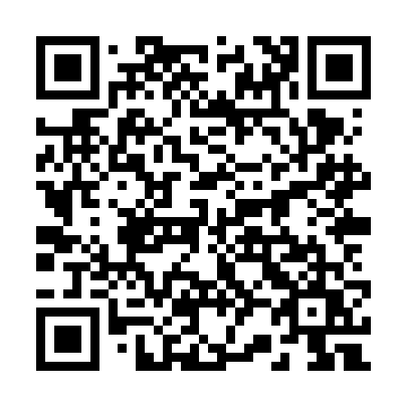 QR code for plate 228-VFU