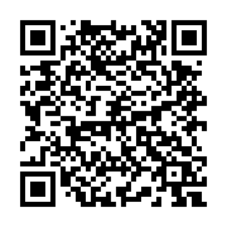 QR code for 229DVR