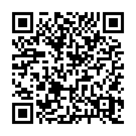 QR code for plate 229-XNX