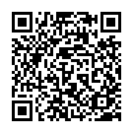 QR code for plate 233-NXS