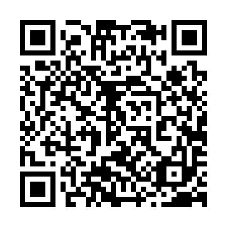 QR code for 234393