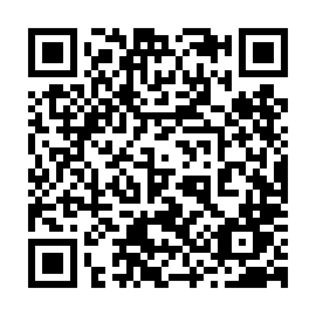 QR code for plate 234-TLT