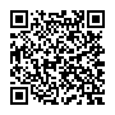 QR code for plate 234-XXI