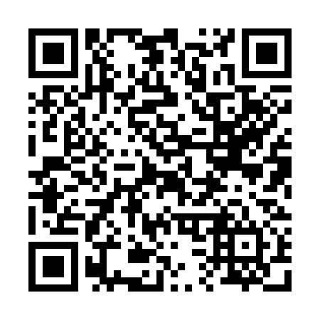 QR code for 238334