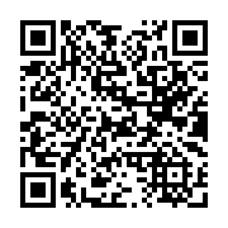 QR code for 238SYI