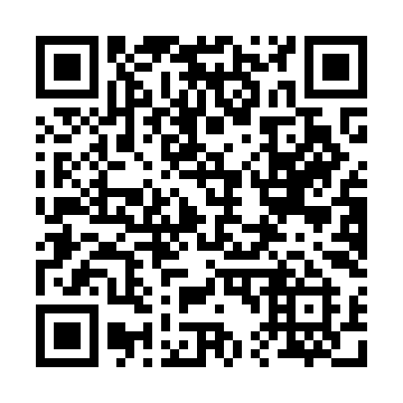 QR code for 241OII