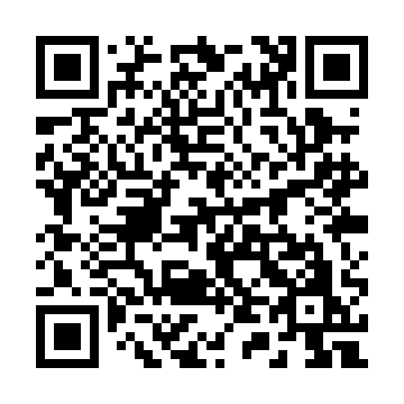 QR code for plate 241-PAO
