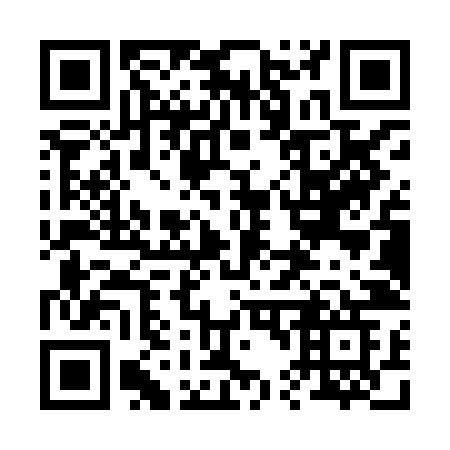 QR code for plate 241-XJG