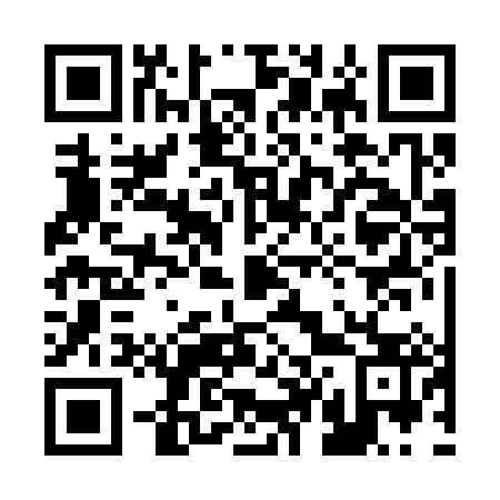 QR code for 242383