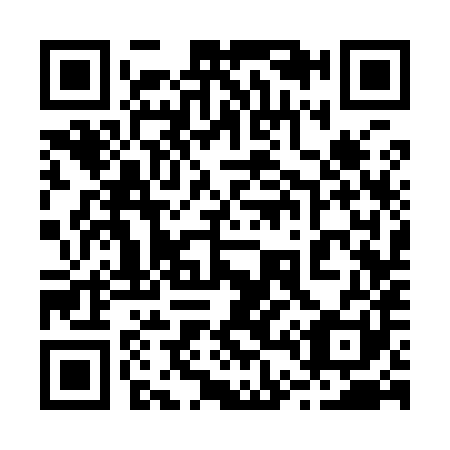 QR code for 243981