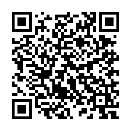 QR code for 245DMZ