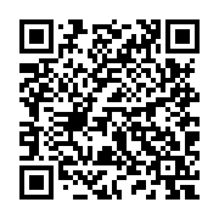 QR code for plate 246-HYS