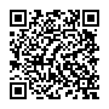 QR code for 249413