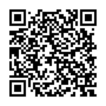 QR code for 250119