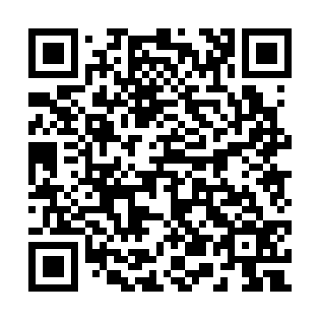 QR code for 250336