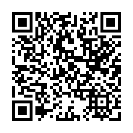 QR code for 250339