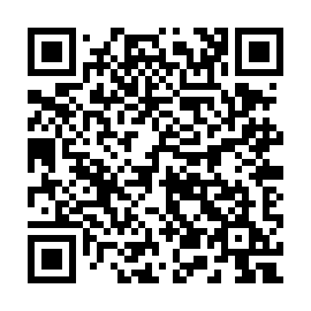 QR code for plate 250-TIE