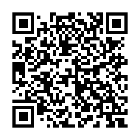 QR code for 253-NBM