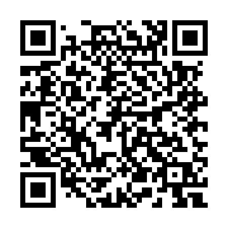 QR code for 255MQP