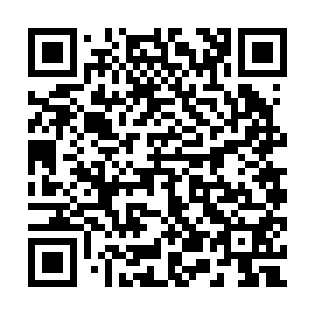 QR code for 256250