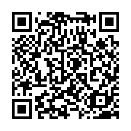 QR code for 256311
