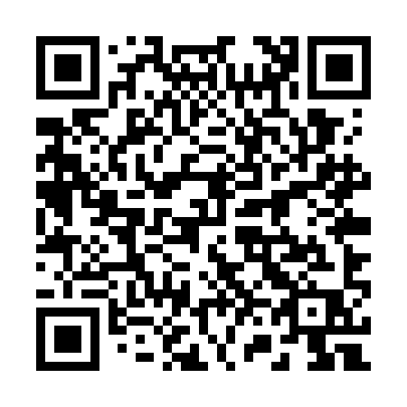 QR code for 265-WIP